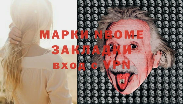стаф Заводоуковск