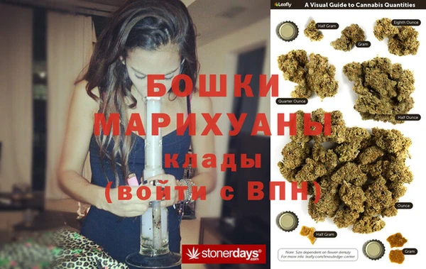 стаф Заводоуковск
