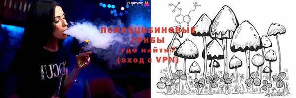 стаф Заводоуковск