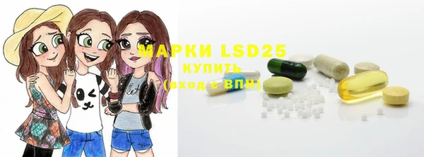 стаф Заводоуковск