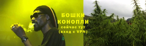 стаф Заводоуковск