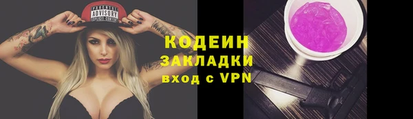 стаф Заводоуковск