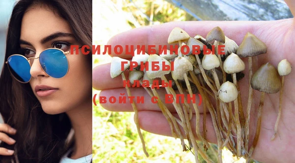 стаф Заводоуковск