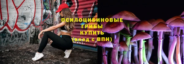 стаф Зерноград